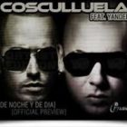 Cosculluela Ft. Yandel - De Noche y De Dia MP3